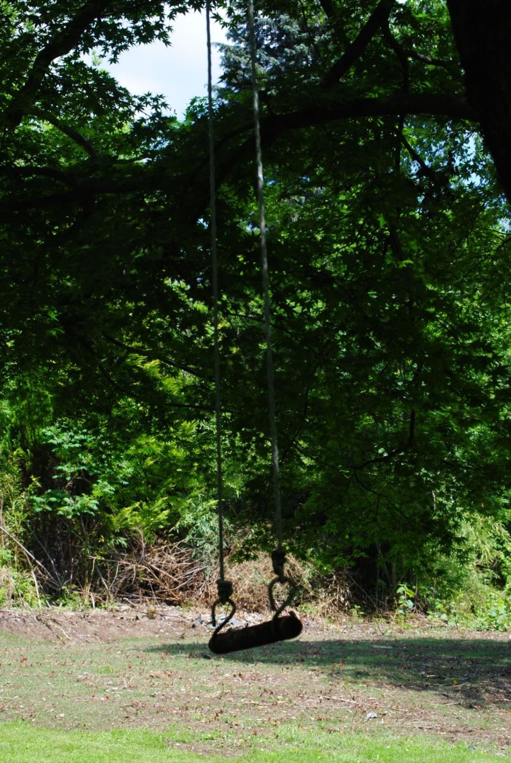 Romagnoli Family Cottage Una finestra nel verde